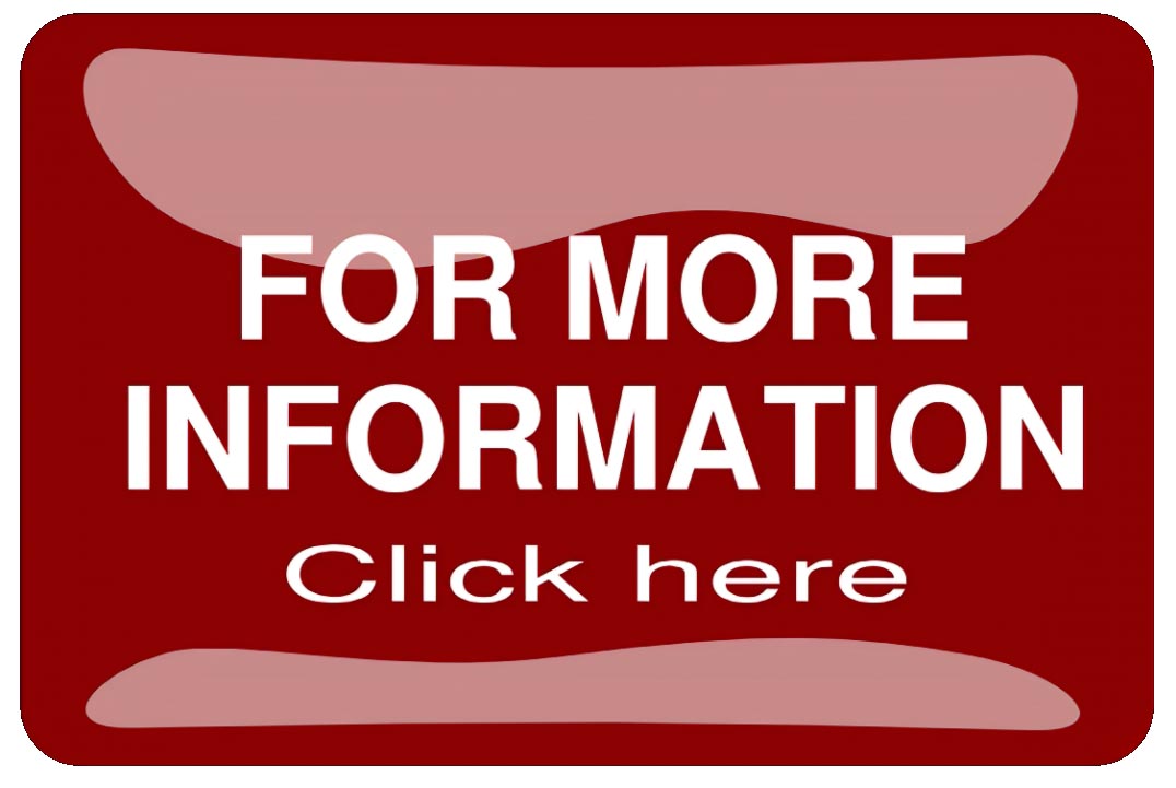 Wild Illuminations A Holiday Lantern Experience Pgh Events